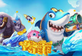 333体育官网下载