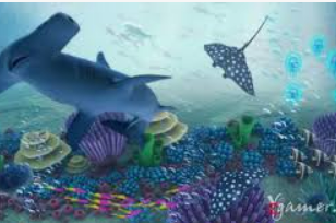 333体育官网下载客户端